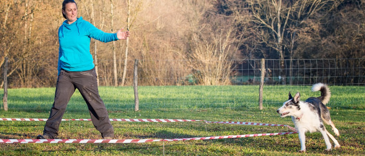 Champion Coaching - Hundetraining by Melanie Champion - Longieren